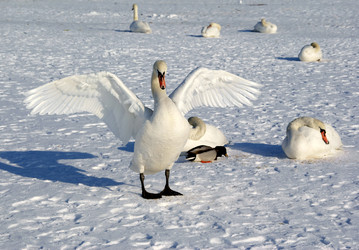 Similar image 947009