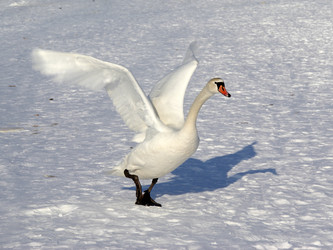 Similar image 947012