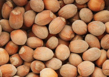 Similar image 947152