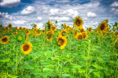 Similar image 947182