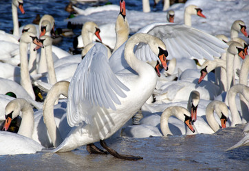 Similar image 947239