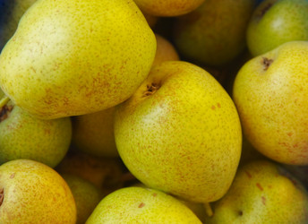 Similar image 947257