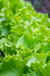 Similar image 947394