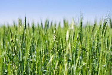 Similar image 947456