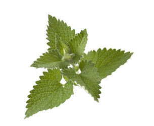 Similar image 947540