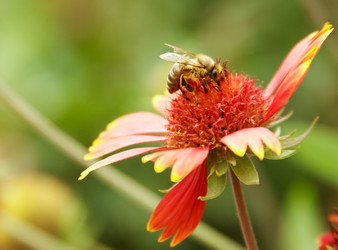 Similar image 947589