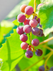 Similar image 947595