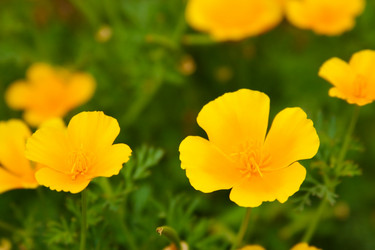 Similar image 947593