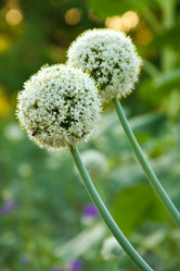 Similar image 947700