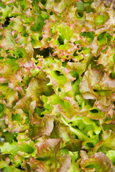 Similar image 947704