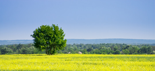 Similar image 947707