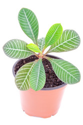 Similar image 947747