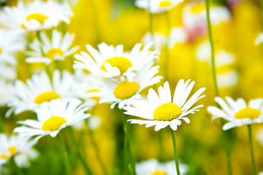 Similar image 947767