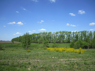 Similar image 947870