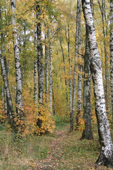 Similar image 947874