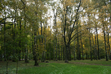 Similar image 947877