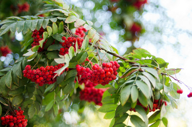 Similar image 947957