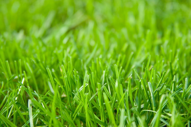 Similar image 947987