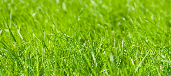 Similar image 947988