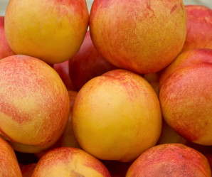 Similar image 947993