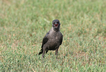 Similar image 947994