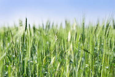 Similar image 948067