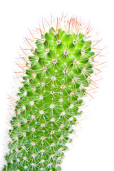 Similar image 948082