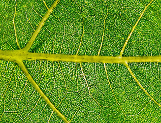 Similar image 948087