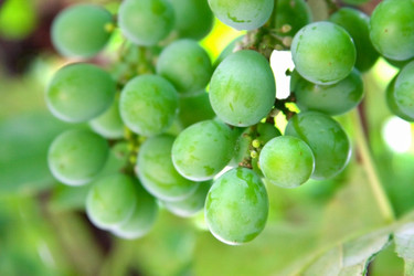 Similar image 948096