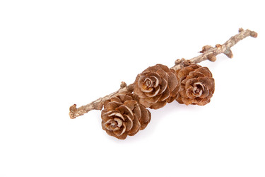 Similar image 948130