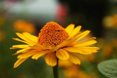 Similar image 948181