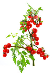 Similar image 948333