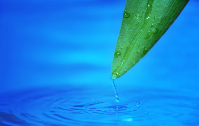 Similar image 948423