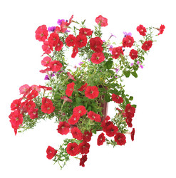 Similar image 948549