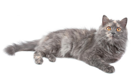 Similar image 948577