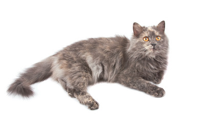 Similar image 948578