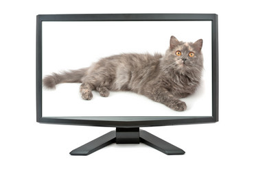 Similar image 948580