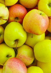 Similar image 948582