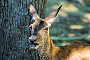 Similar image 948654