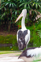 Similar image 948748