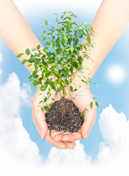 Similar image 948780