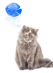 Similar image 948782