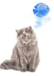 Similar image 948785