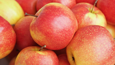 Similar image 948807