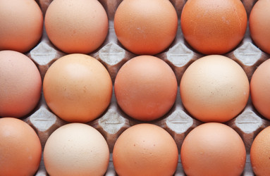 Similar image 948830