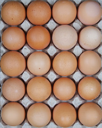 Similar image 948835