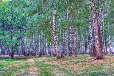 Similar image 948992