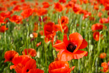 Similar image 949029