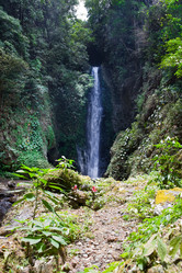 Similar image 949087