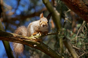 Similar image 949128